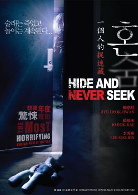 Hide And Never Seek  一个人的捉迷藏   (DVD)