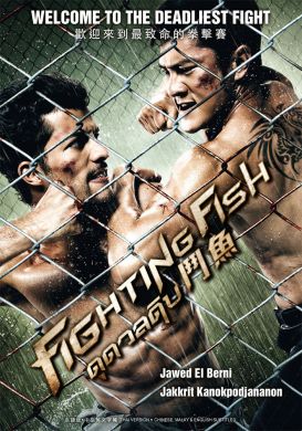 鬥魚 FIGHTING FISH (DVD)
