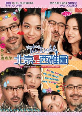 北京遇上西雅圖  FINDING MR. RIGHT (DVD)