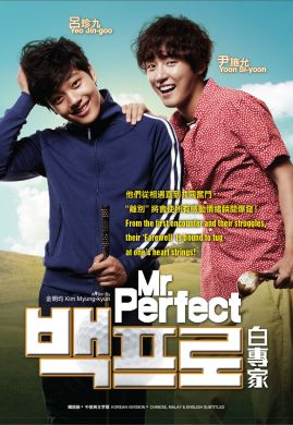Mr. Perfect白专家 (DVD)