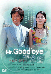 Mr.Goodbye 再見先生