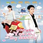 Youre My Destiny 命中注定我爱你 Pt. 1