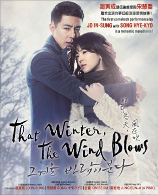 那年冬天，風在吹  THAT WINTER, THE WIND BLOWS  (DVD)