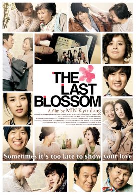世上最美麗的離別 THE LAST BLOSSOM (DVD)