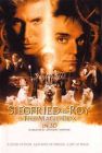 SIEGFRIED & ROY:THE MAGIC BOX SIEGFRIED & ROY:THE MAGIC BOX