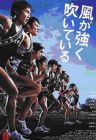 Feel The Wind 强风正劲 (DVD) Feel The Wind 强风正劲 (DVD)